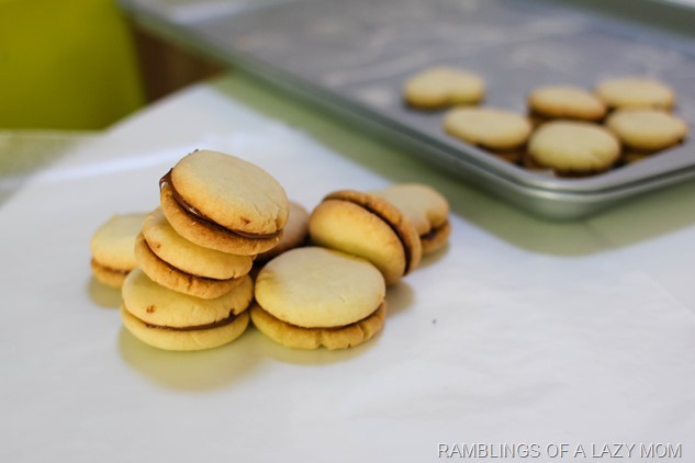 20140711-20140711-IMG_6595