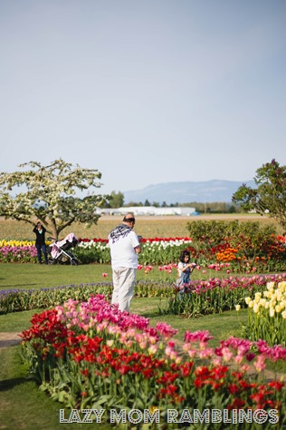 20150418-20150418-158