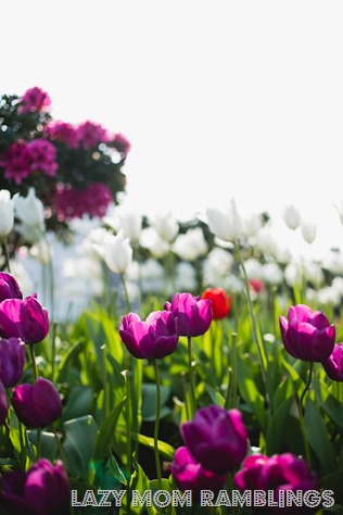 20150418-20150418-174