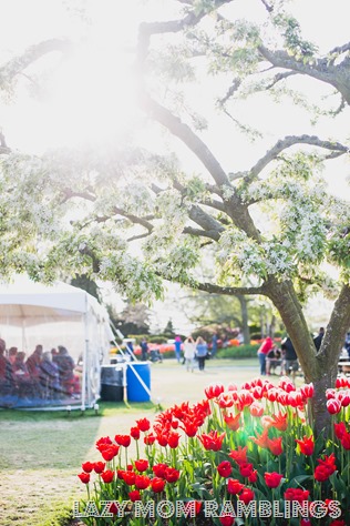 20150418-20150418-332