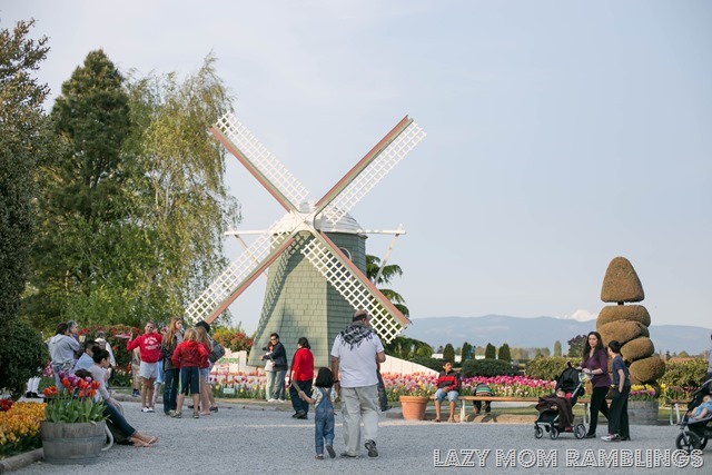 20150418-20150418-364