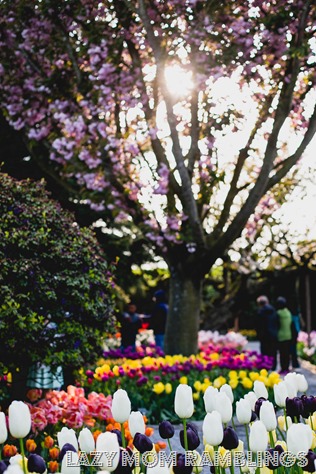 20150418-20150418-365