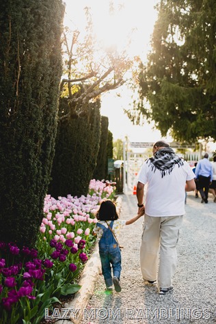 20150418-20150418-369