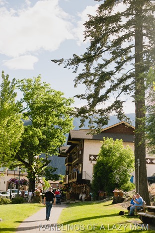 20150525-20150525-IMG_8822