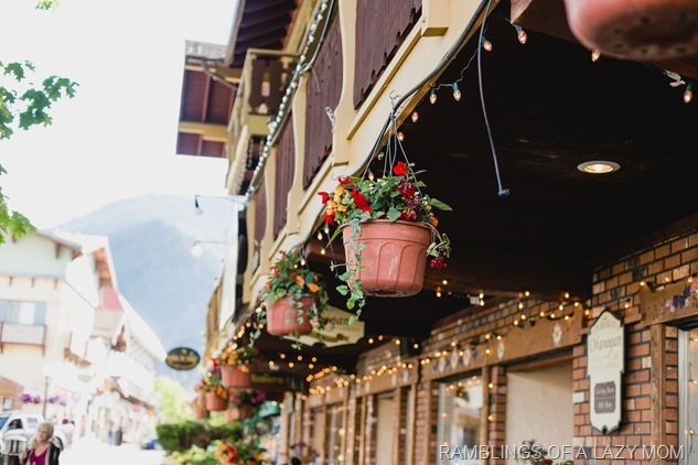 20150525-20150525-IMG_8847