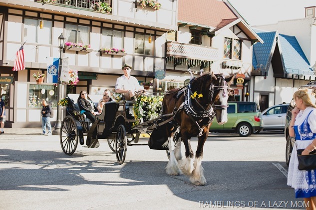 20150525-20150525-IMG_8898