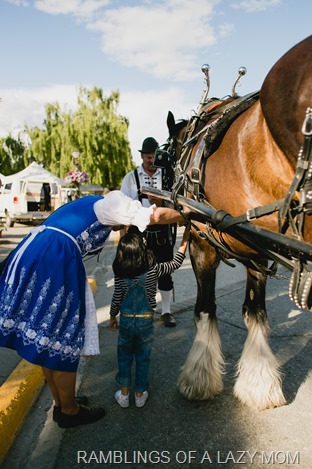 20150525-20150525-IMG_8961
