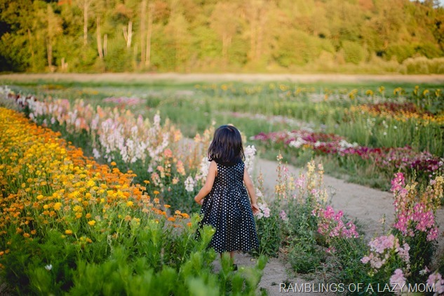 20150717-20150717-IMG_1386