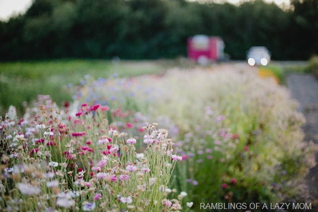 20150717-20150717-IMG_1392