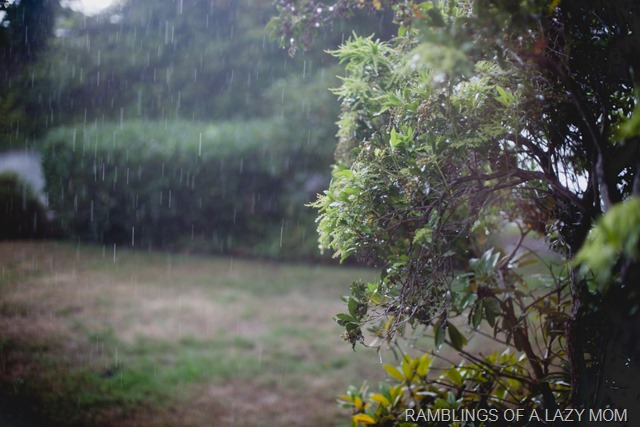 20150903-20150903-IMG_4543