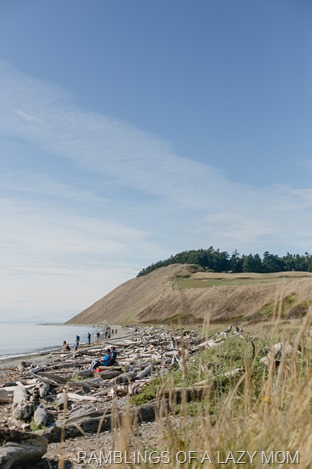 20150907-20150907-IMG_4867