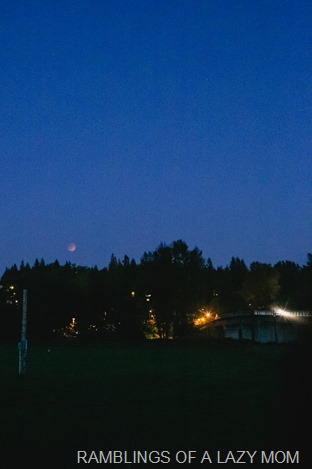 20150927-20150927-IMG_7855