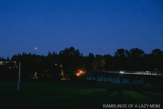 20150927-20150927-IMG_7857