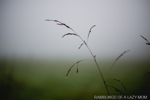 20151001-20151001-IMG_7939