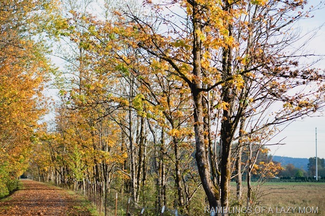 20151016-20151016-IMG_0506