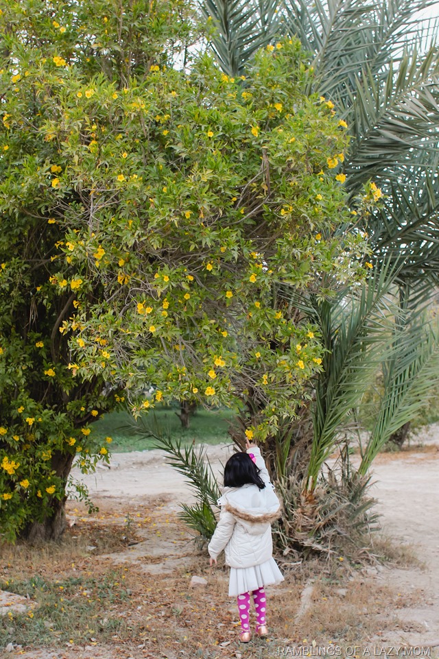 20141216-20141216-167