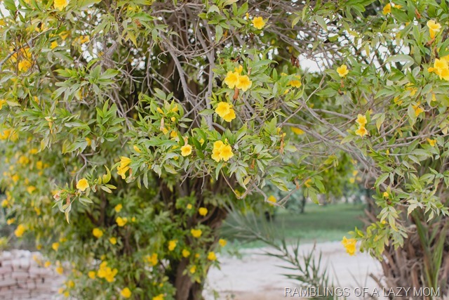 20141216-20141216-171