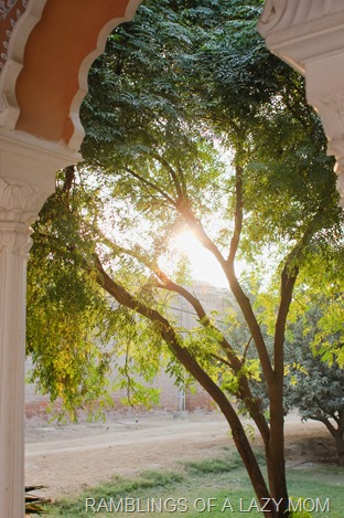 20141216-20141216-80