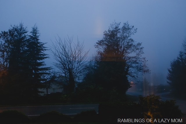 20151110-20151110-IMG_3204