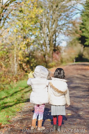 20151111-20151111-IMG_3240