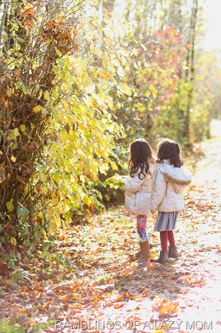 20151111-20151111-IMG_3295