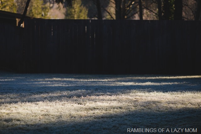 20151231-IMG_9067 20151231-IMG_9067