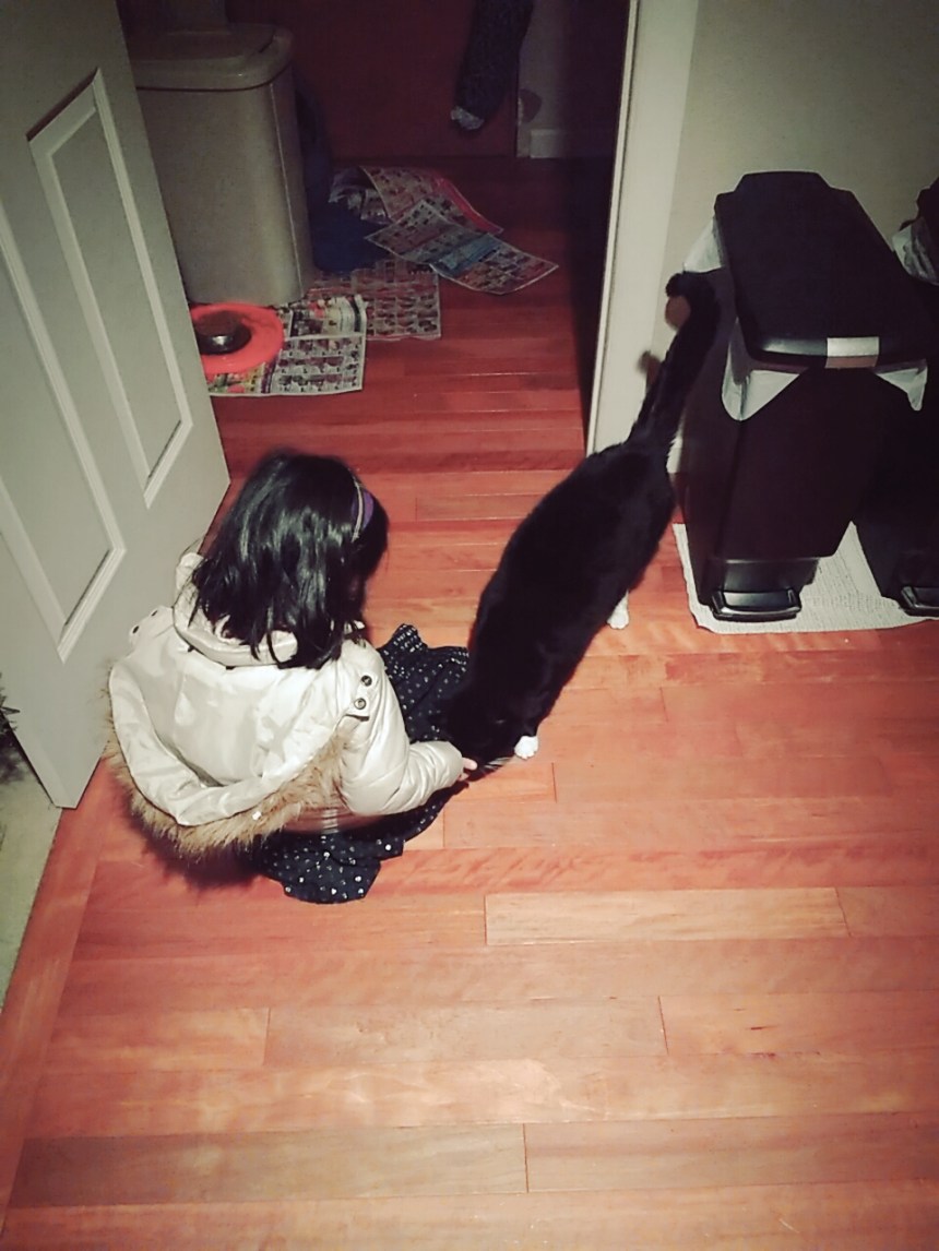 B612_20151223_173833.jpg image