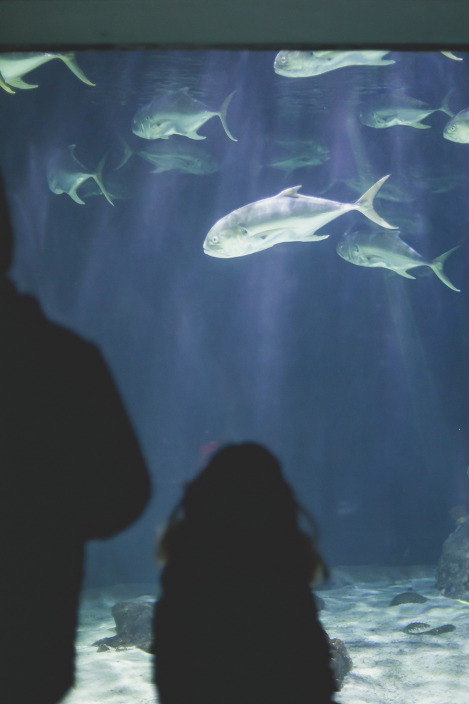 20180219-20180219-8E9A9589web