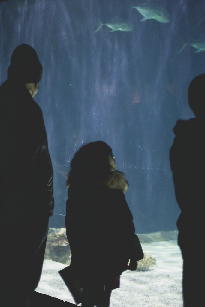 20180219-20180219-8E9A9594web